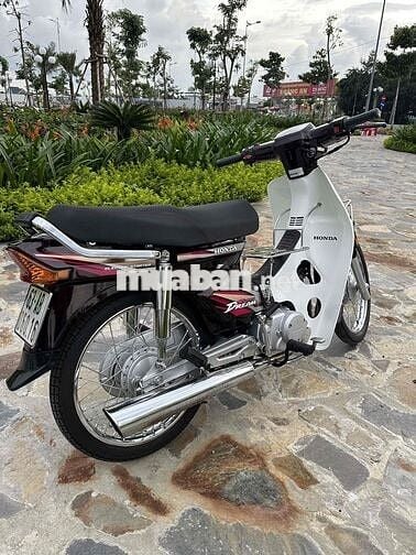 Honda Dream Thái