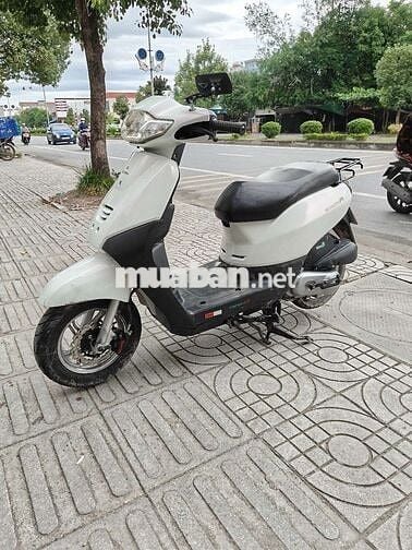Scoopy 50cc 2021
