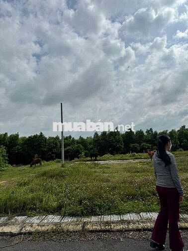 Cần bán gấp để mở quán ăn có thể thương lượng