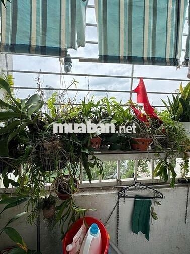 Bán gấp CH góc toà N02 Chùa Láng, 73m2, 3N,2WC, giá 7.6 tỷ