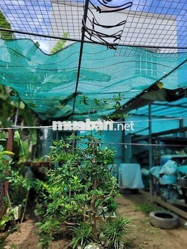 Chính Chủ Cần Bán Nhà 1 Trệt 1 Lầu Bình Chánh, Giá 5,4 tỷ