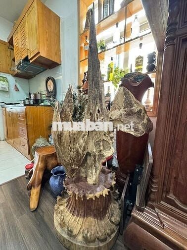 Bán gấp CH góc toà N02 Chùa Láng, 73m2, 3N,2WC, giá 7.6 tỷ