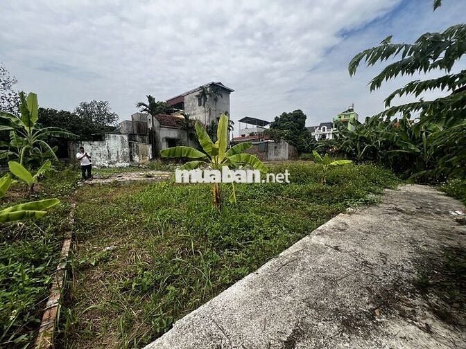 Bán gấp đất Vạn Phúc -Đông Mỹ ô tô đỗ cổng ,diện tích rồng giá 2.75 tỷ Bán gấp đất Vạn Phúc -Đông Mỹ ô tô đỗ cổng ,diện tích rồng giá 2.75 tỷ