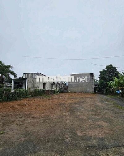 đất sổ riêng thổ cư ngay phường Tân Triều, hỗ trợ vay vốn ngân hàng