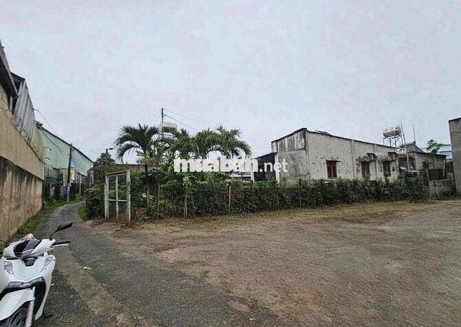 đất sổ riêng thổ cư ngay phường Tân Triều, hỗ trợ vay vốn ngân hàng