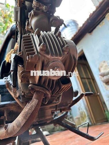 wave máy zin biển hà nội