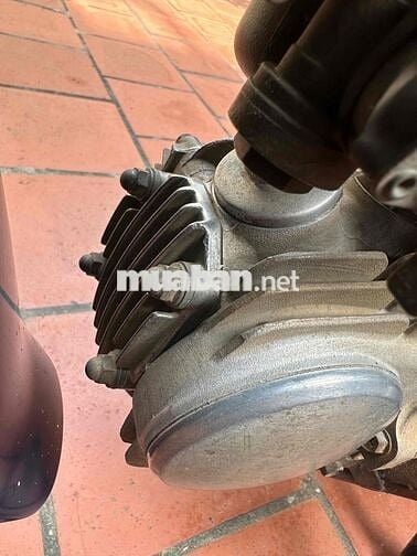 wave máy zin biển hà nội