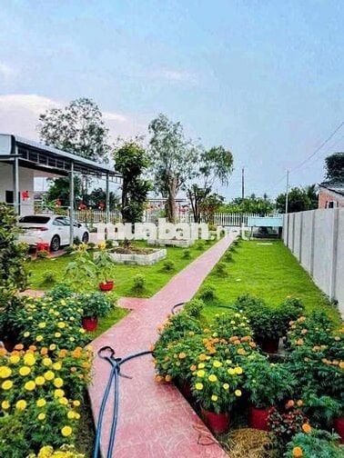 Bán đất sào ngay trung tâm Long Khánh - Đồng Nai