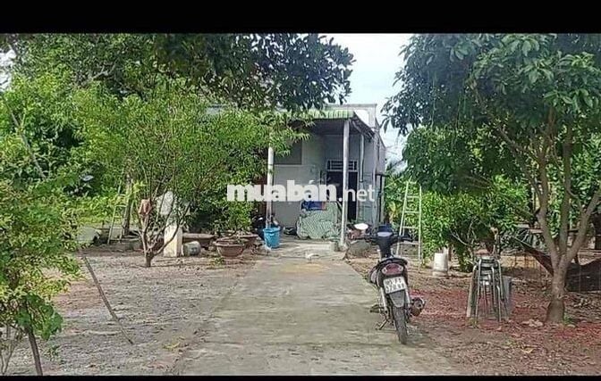 BÁN GẤP ĐẤT NỀN CHÍNH CHỦ 134m2 100% thổ cư ,SHR Ninh Sơn - Ninh Thuận