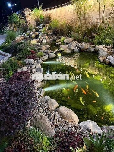 1 SÀO PHỦ HỒNG NGAY PHƯỜNG LONG KHÁNH