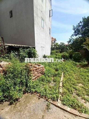 cần bán lô đất ngõ 47 yên hoà yên nghĩa