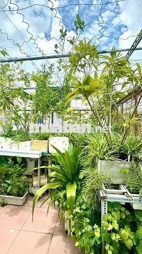 Bán nhà hẻm 175 Lê Hồng Phong, P3, Q5 41M2 x 4tầng - GIÁ 9.1TỶ