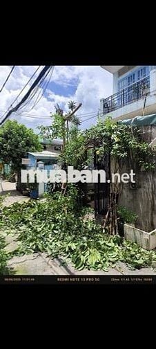 BÁN NHÀ CŨ HẺM DƯƠNG QUẢNG HÀM PHƯỜNG 5