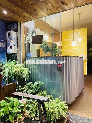 Khai thác kinh doanh cf tại các 5-homestay