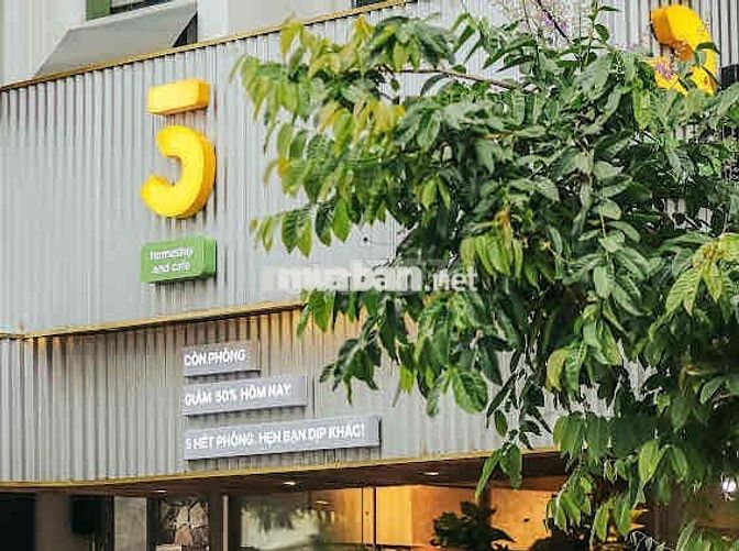 Khai thác kinh doanh cf tại các 5-homestay