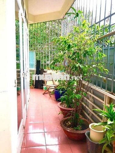 Cho thuê nhà một trệt một lầu hẻm Trương Công Định  Vũng Tàu