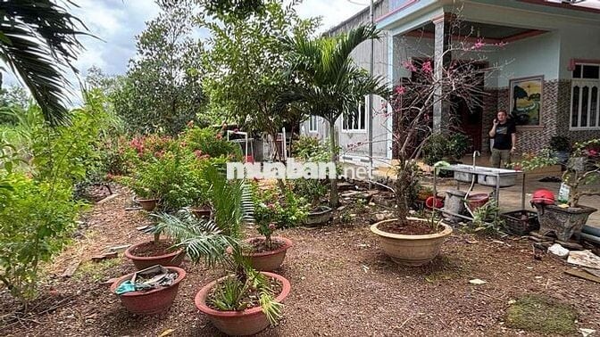 Nhà mặt tiền 1389 QL 1A 30x60 kinh doanh cafe bida Lô góc