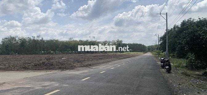 ĐẤT MẶT TIỀN ĐH 519 250M2 CHỈ 6XX Ở XÃ PHƯỚC THÀNH .TP HCM
