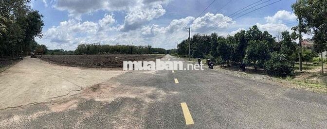 ĐẤT MẶT TIỀN ĐH 519 250M2 CHỈ 6XX Ở XÃ PHƯỚC THÀNH .TP HCM