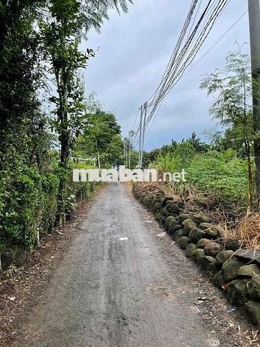 Đất sào View Núi Du lịch Chứa Chan 106m mặt tiền