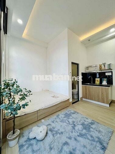 LOA LOA ĐẦU THÁNG 11🎉 CÓ SIÊU PHẨM STUIDO BANCONL SIÊU MỚI FULL NT 🎉