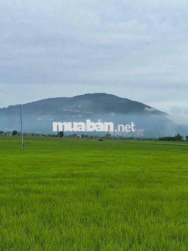 Đất sào View Núi Du lịch Chứa Chan 106m mặt tiền