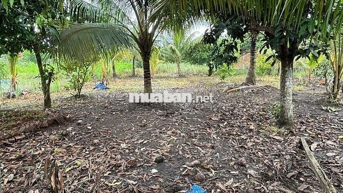 Nhà Mặt tiền 1738 QL 1A 1300m2 Kinh doanh Bida cà phê Trà Sữa Lô Góc