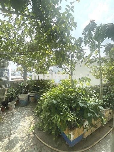 Bán Gấp Nhà 4 Tầng Ngang 5.6m Hẻm 3m Thông Thoáng Phú Thuận Hơn 6 Tỷ