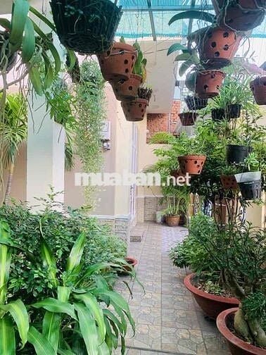 Biệt Thự 315m2 , Đường Xe Hơi 8m, ngang 13m có sân vườn , Lê Văn Lương
