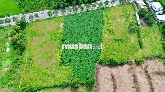 Chủ gủi bán lô góc 55m mặt tiền Tỉnh Lộ 52 xã Đất Đỏ - TP HCM.
Dt: