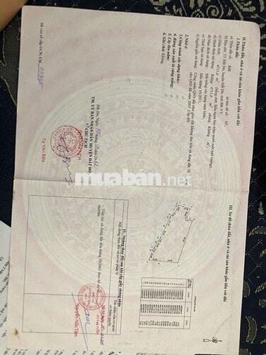 Chủ gủi bán lô góc 55m mặt tiền Tỉnh Lộ 52 xã Đất Đỏ - TP HCM.
Dt: