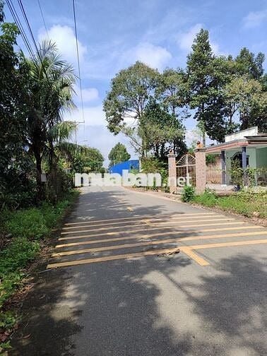 MT Hòa Lợi 003, diện tích 6*60m thổ cư - giá 1.7 tỷ