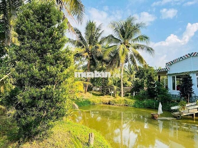 ĐẤT VƯỜN NGHỈ DƯỠNG CHÂU THÀNH BẾN TRE