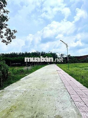 BÁN ĐẤT CHÍNH CHỦ NGAY TRUNG TÂM CHƠN THÀNH PLAZA