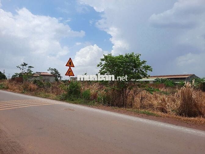 Đất cây lâu năm 15.000m2 đường tỉnh 762, huyện Trảng Bom