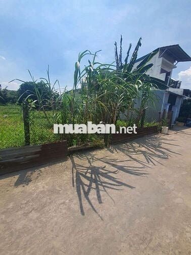 BÁN ĐẤT BÌNH NHÂM 78/  LÁI THIÊU ,TP HCM