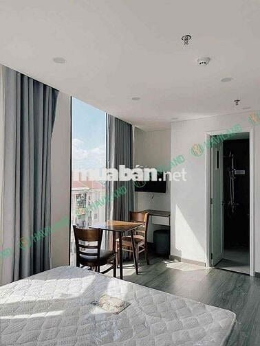 🌿 STUDIO MỚI VIEW ĐẸP – HỒ TÙNG MẬU, LIÊN CHIỂU