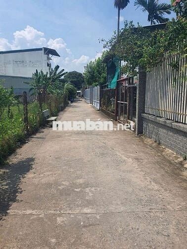 BÁN ĐẤT BÌNH NHÂM 78/  LÁI THIÊU ,TP HCM