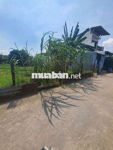 BÁN ĐẤT BÌNH NHÂM 78/  LÁI THIÊU ,TP HCM