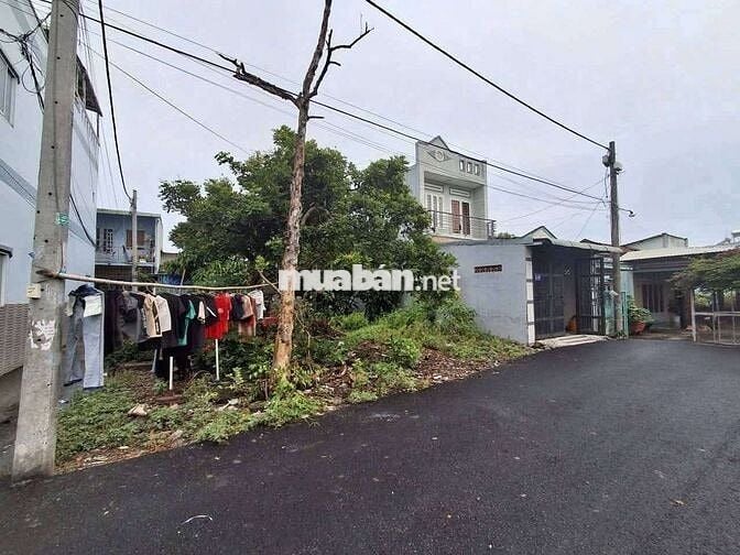 Bán Đât thổ cyw DT 5x16m Giá 2.968 Tỷ Đg N.T Ngâu Xã T. T. Thôn H.Môn