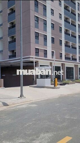 Cho thuê căn hộ mới xây 59m2 giá 3.5tr/th chung cư Golden City AG