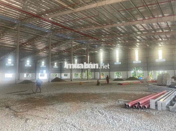 nhà xưởng bàu bàng 11500 cho thuê