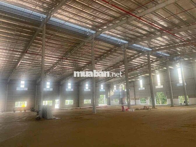 nhà xưởng bàu bàng 11500 cho thuê