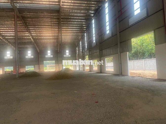 nhà xưởng bàu bàng 11500 cho thuê