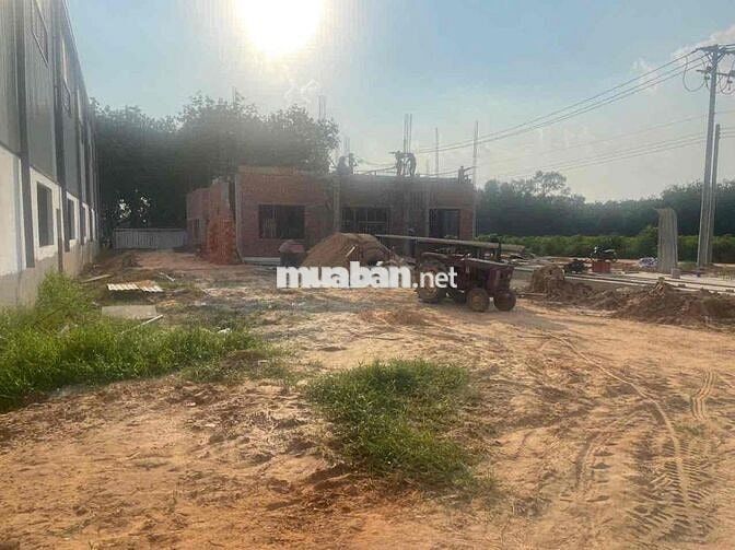 nhà xưởng bàu bàng 11500 cho thuê