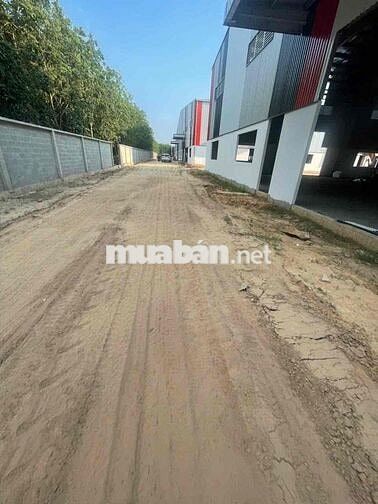 nhà xưởng bàu bàng 11500 cho thuê