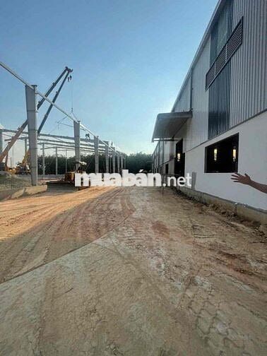 nhà xưởng bàu bàng 11500 cho thuê