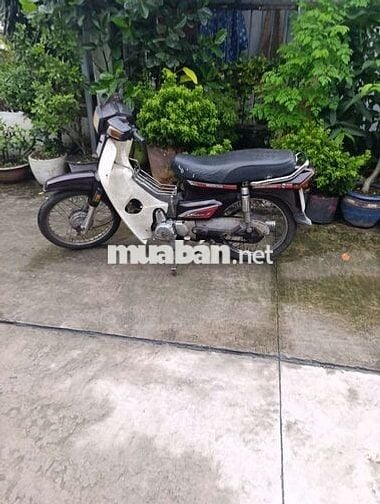 Dream đề đầy đu