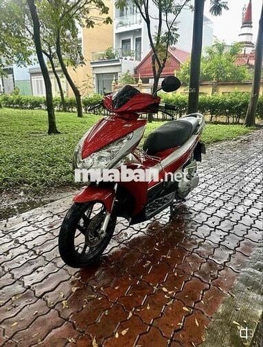 Ab đầu bò - biền tp