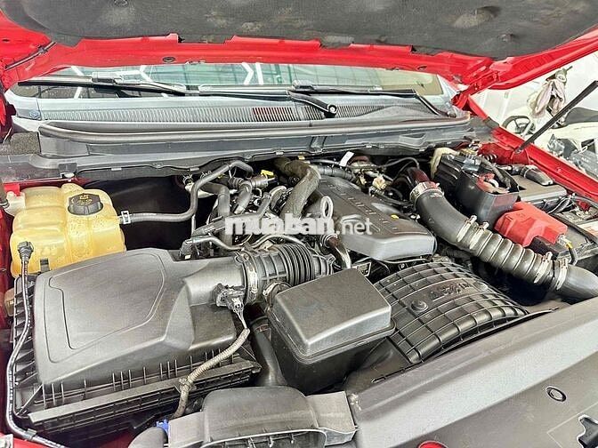 Raptor 2021 một chủ không niên hạn ✨